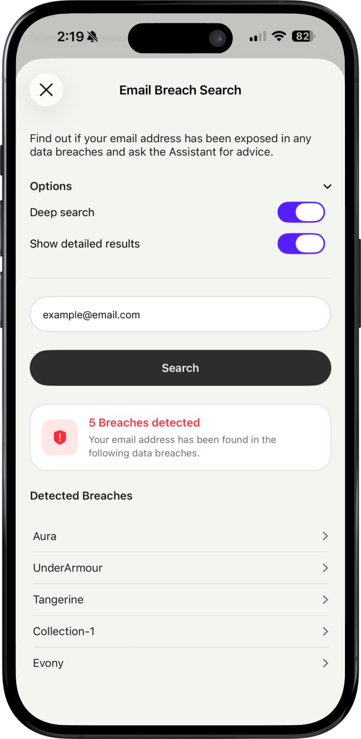 Breach Search